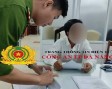Đà Nẵng: Tạm giữ một Việt kiều có hành vi dâm ô con riêng của bạn gái